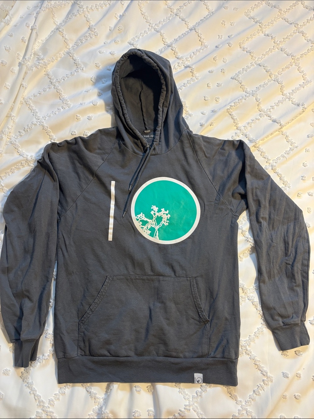 Tentree Charcoal Hoodie with Teal Graphic